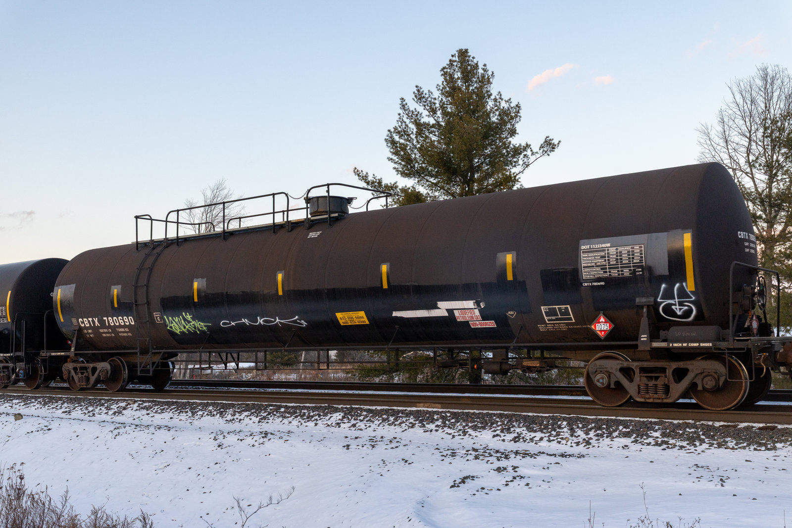 CBTX 780690