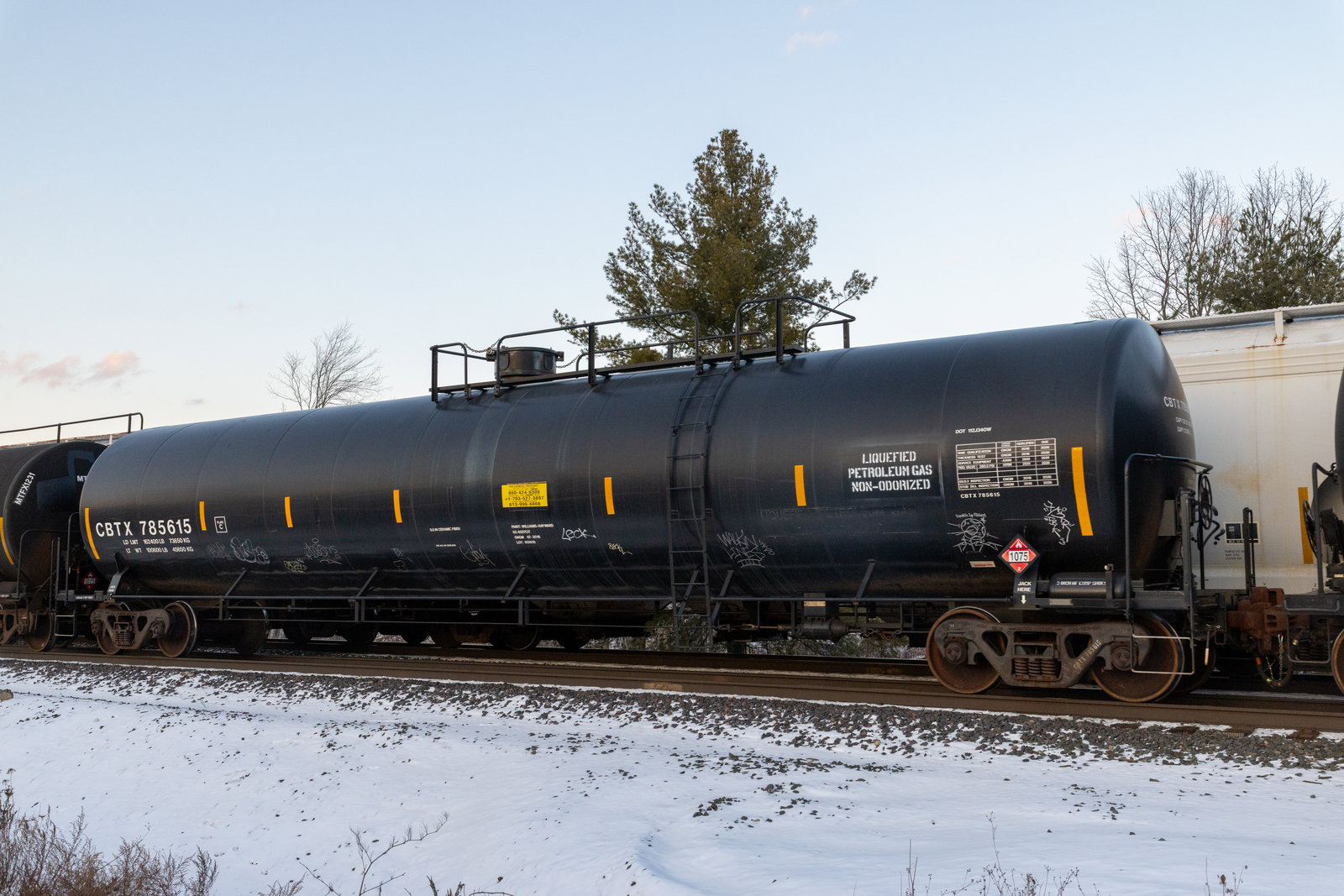 CBTX 785615
