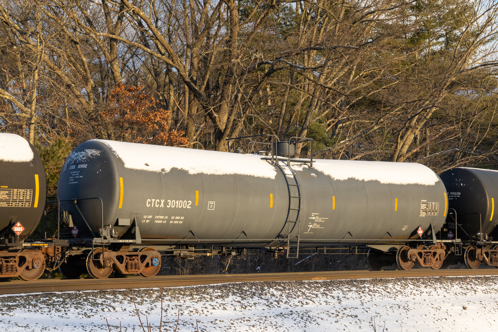 CTCX 301002
