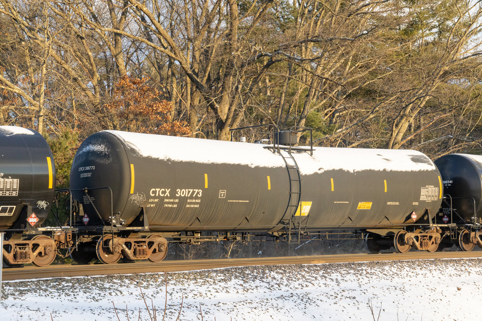 CTCX 301773