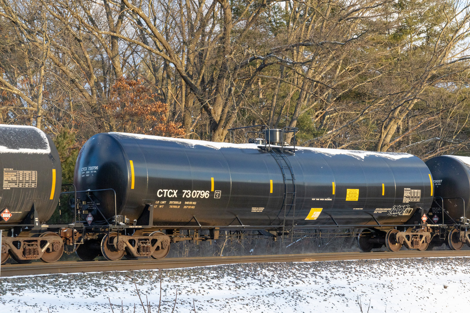 CTCX 730796