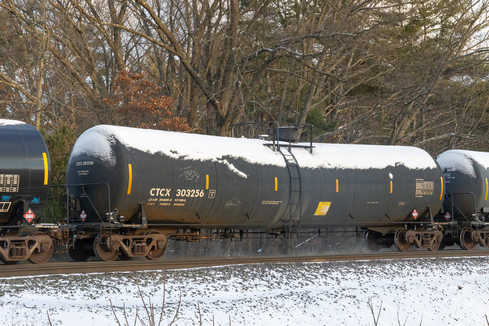 CTCX 303256