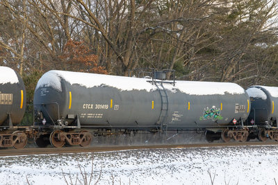 CTCX 301419