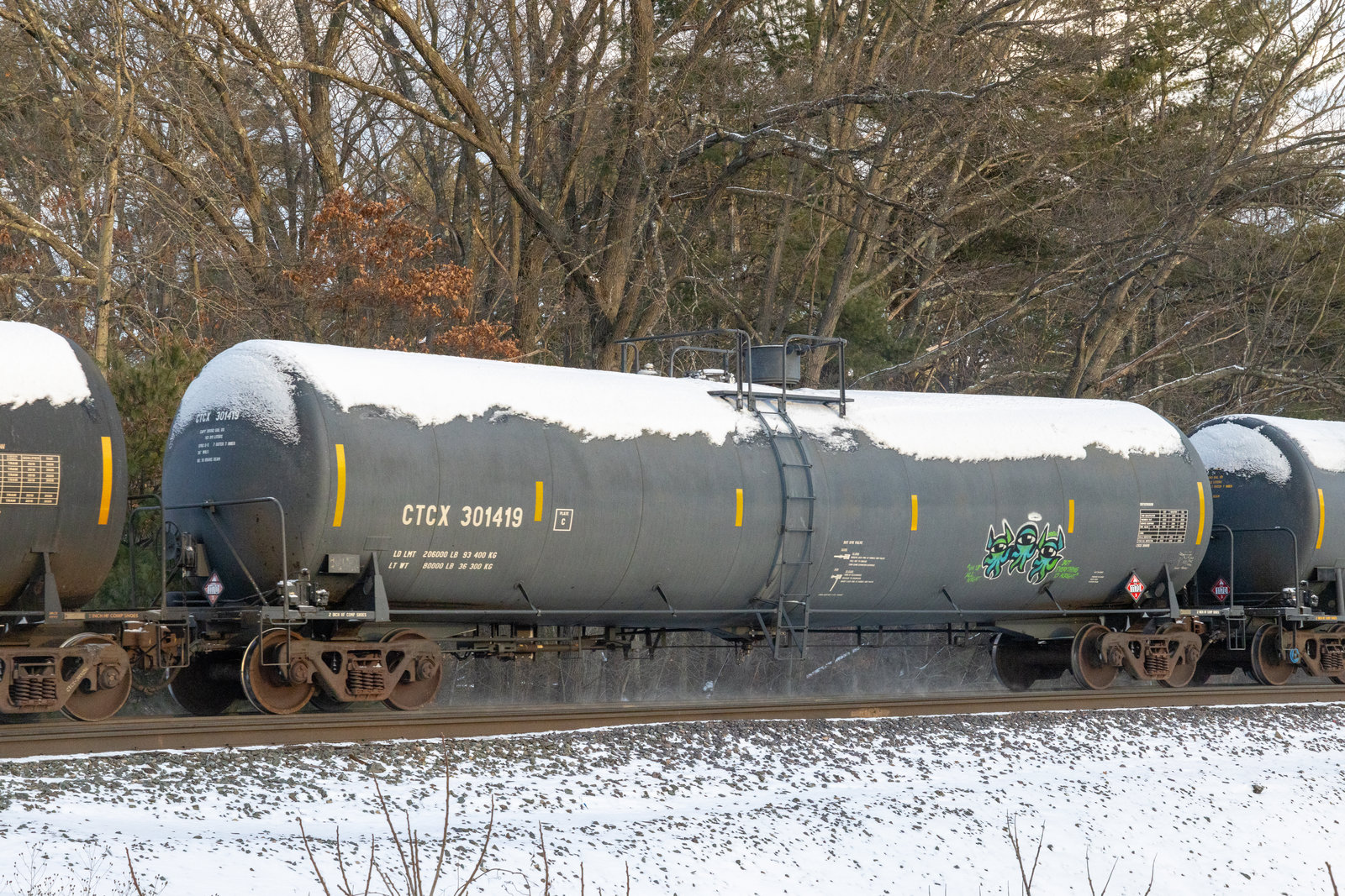 CTCX 301419