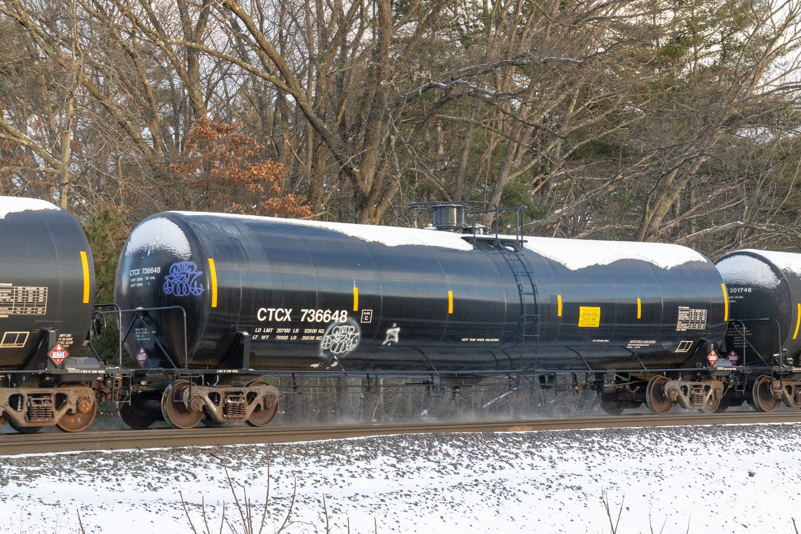CTCX 736648