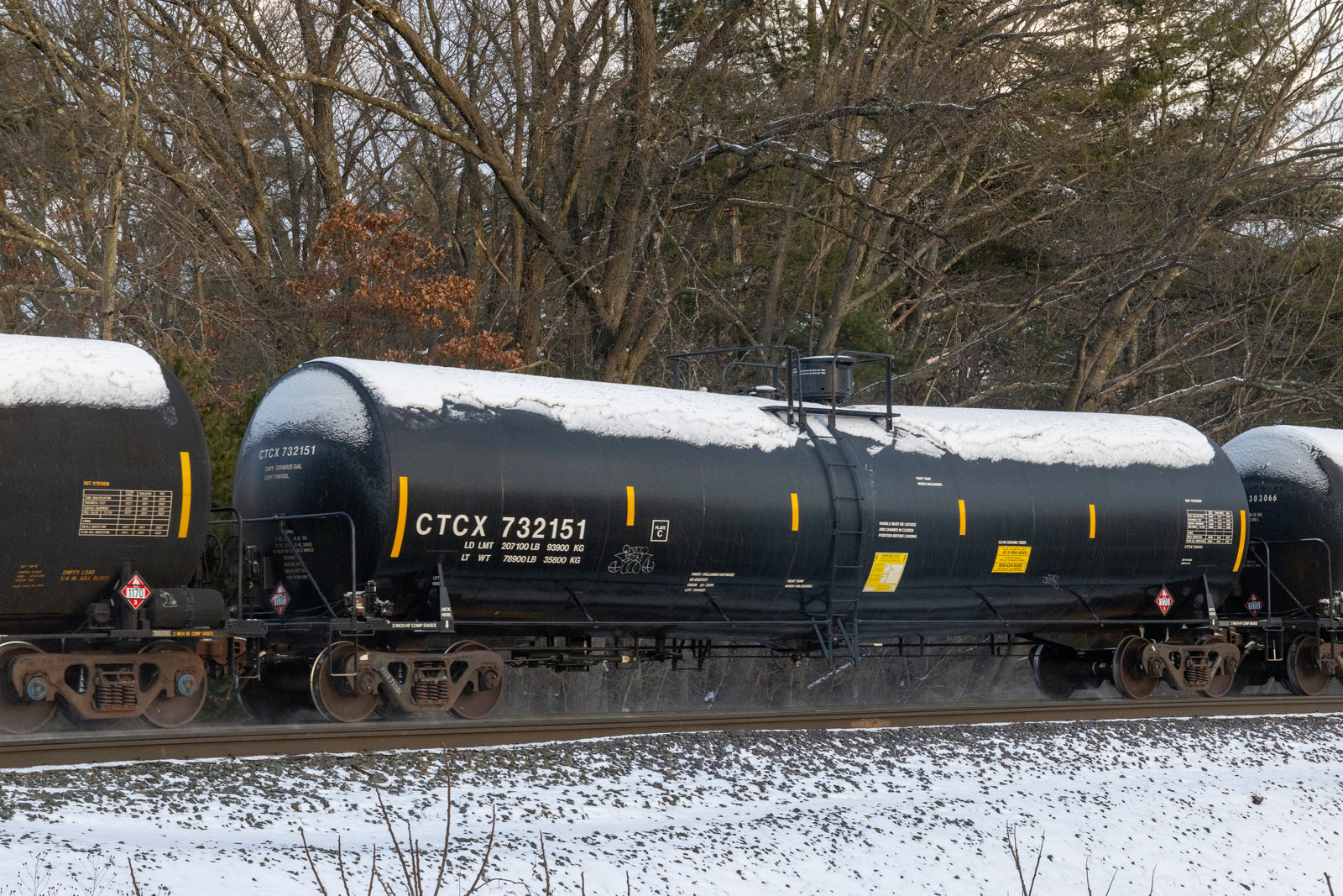 CTCX 732151
