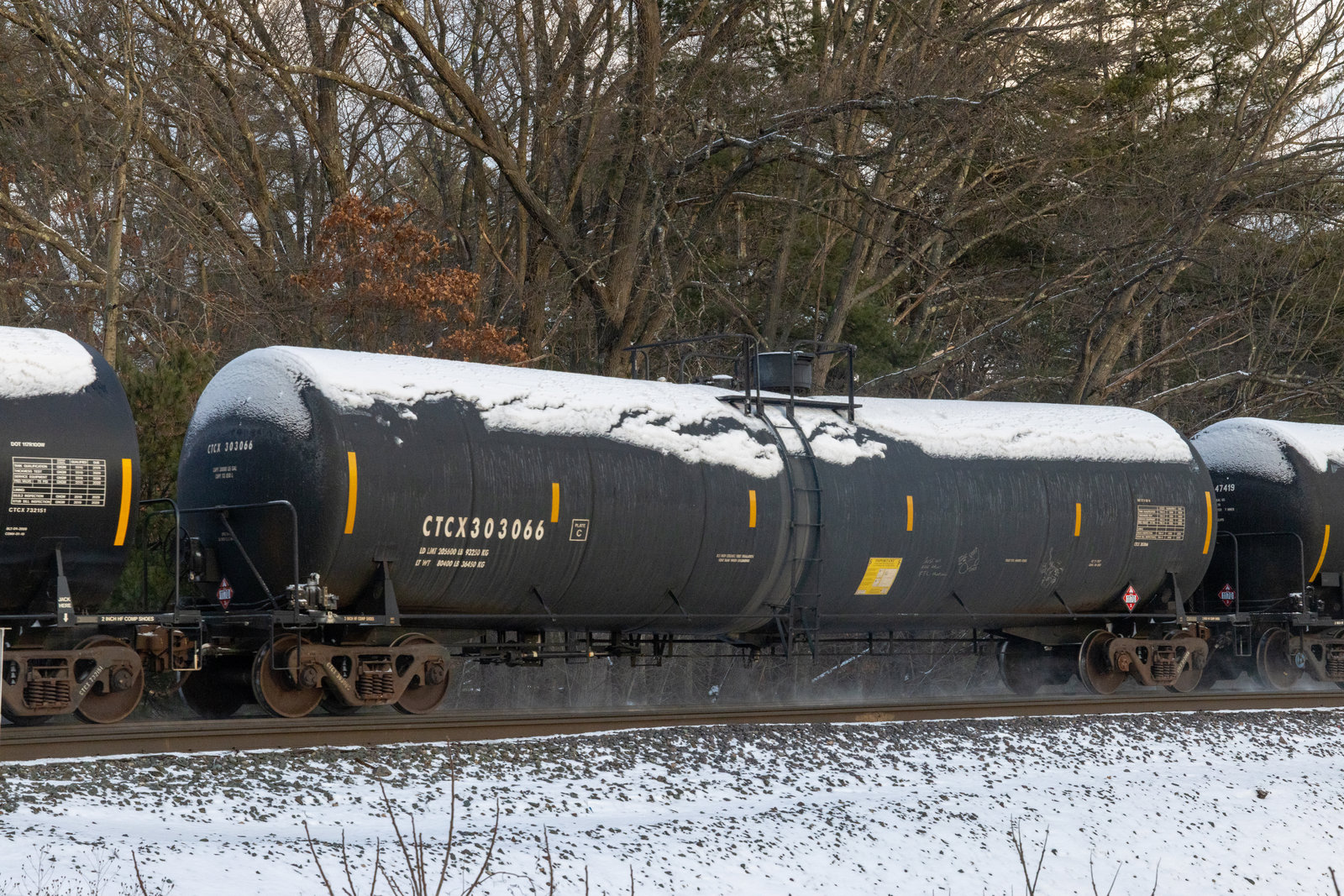 CTCX 303066