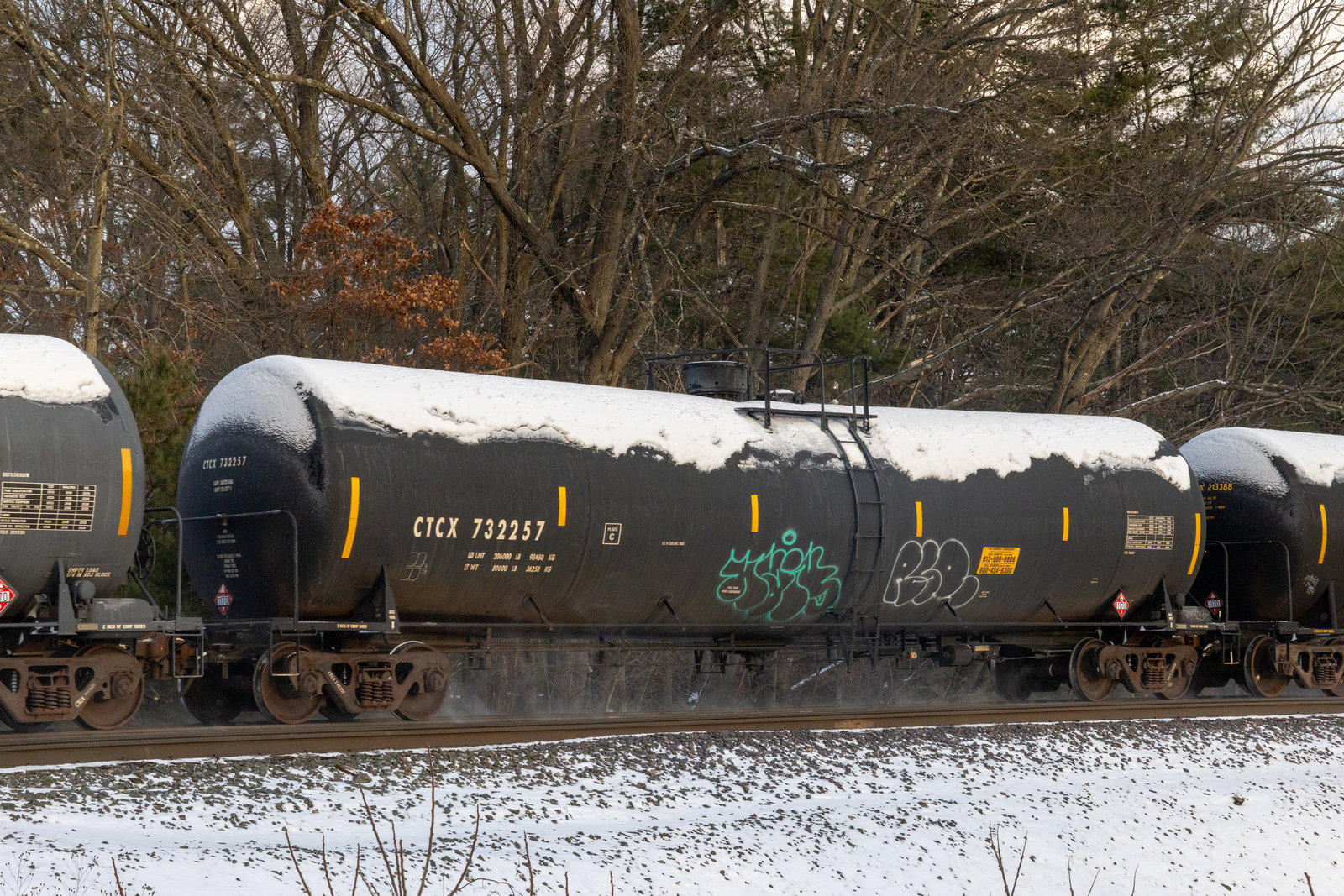 CTCX 732257
