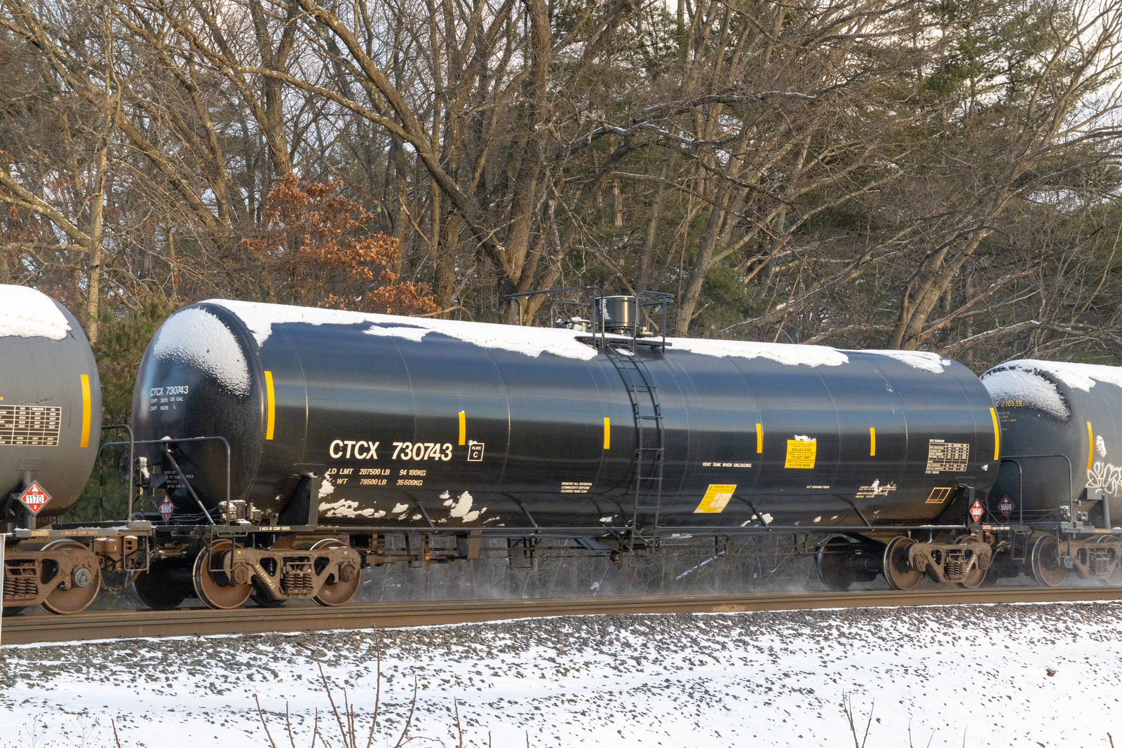 CTCX 730743