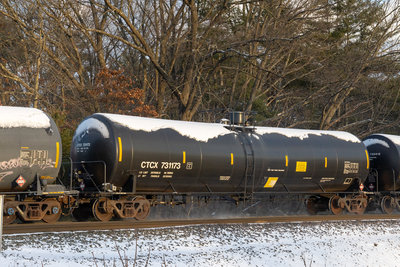 CTCX 731173