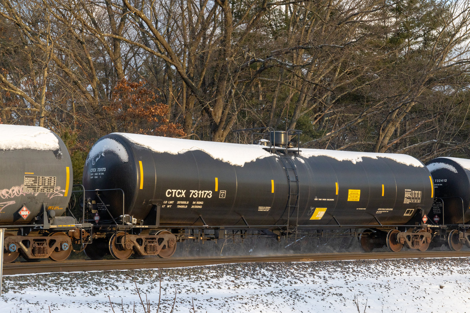 CTCX 731173