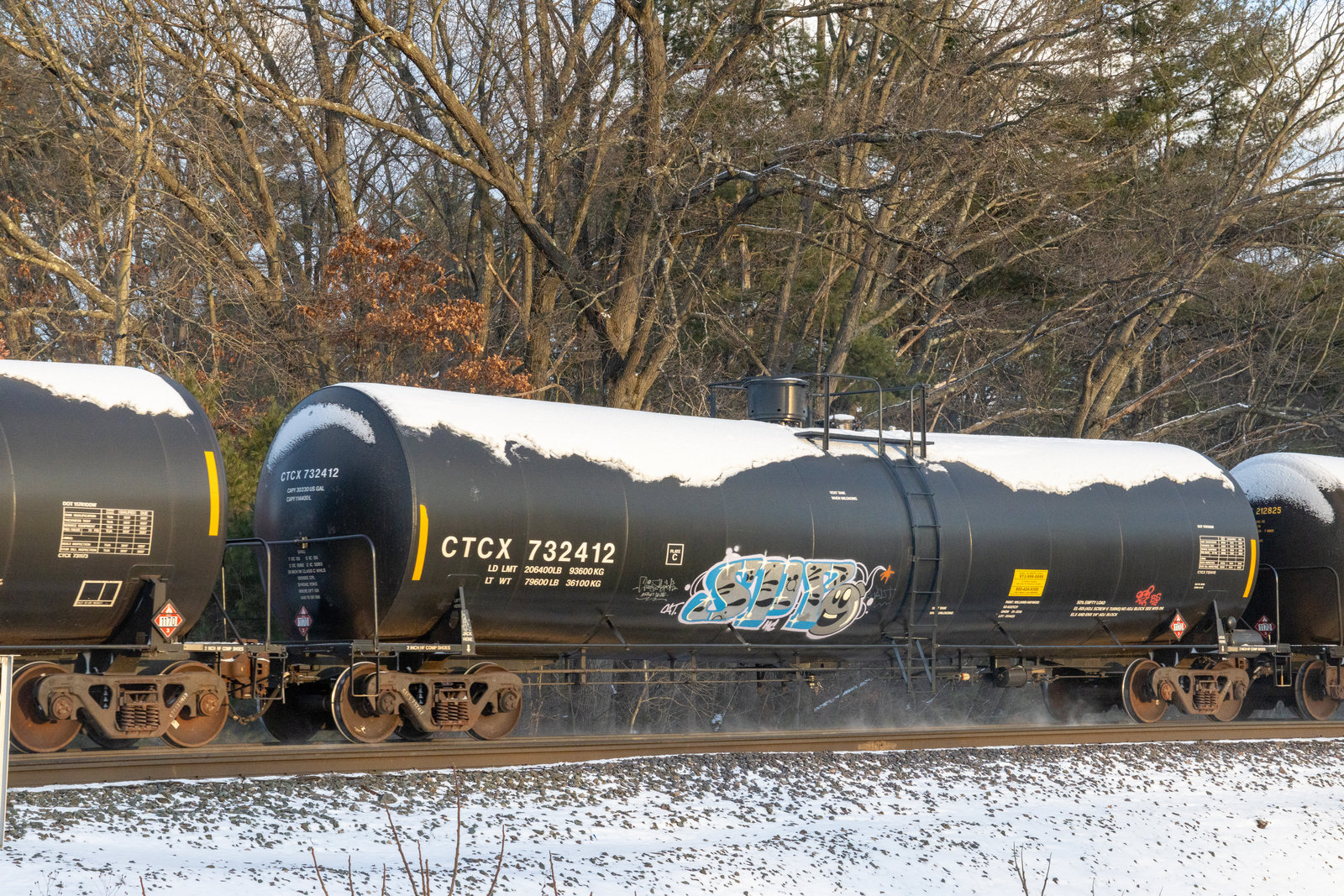 CTCX 732412