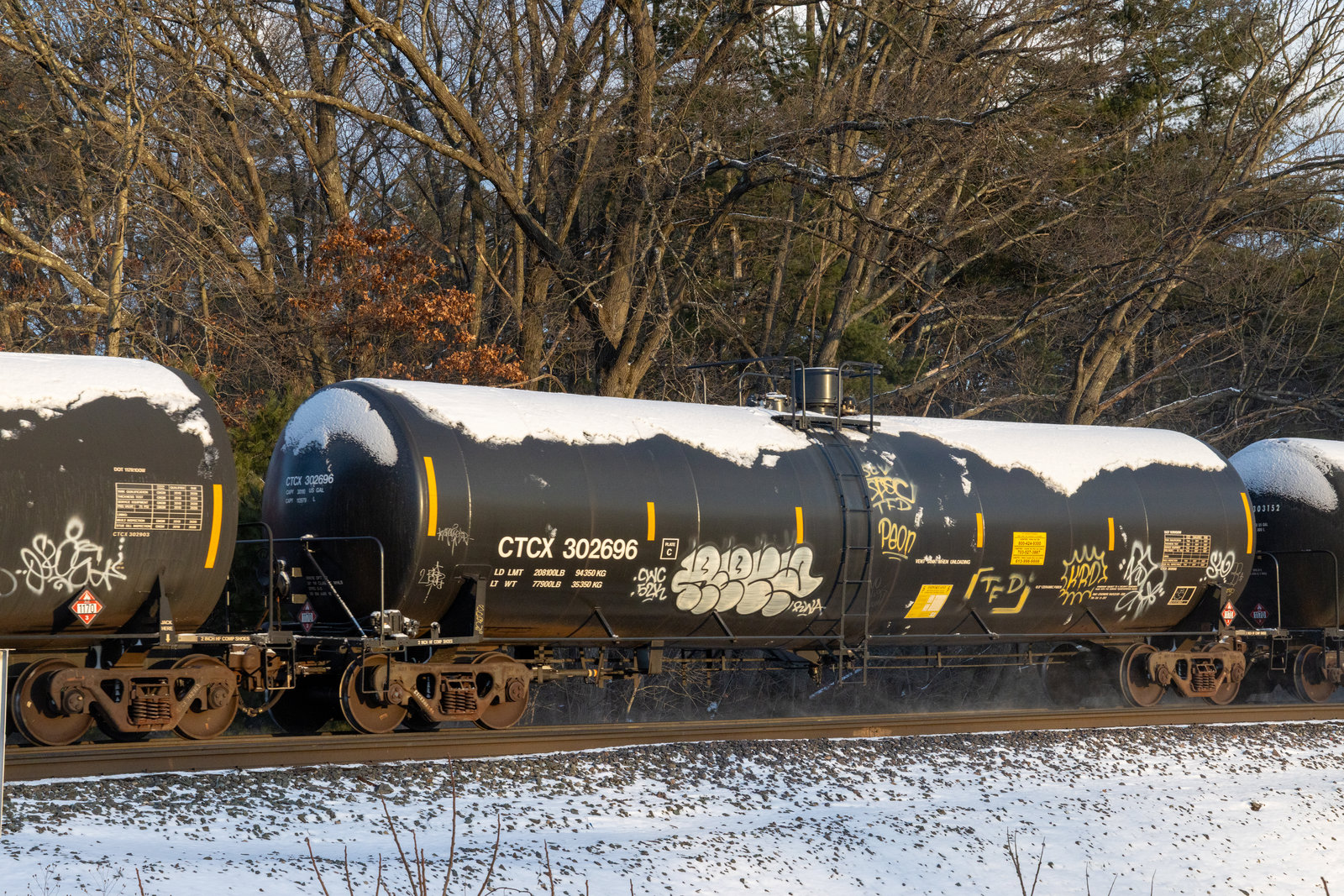 CTCX 302696