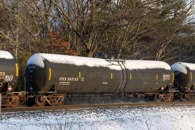 CTCX 303152