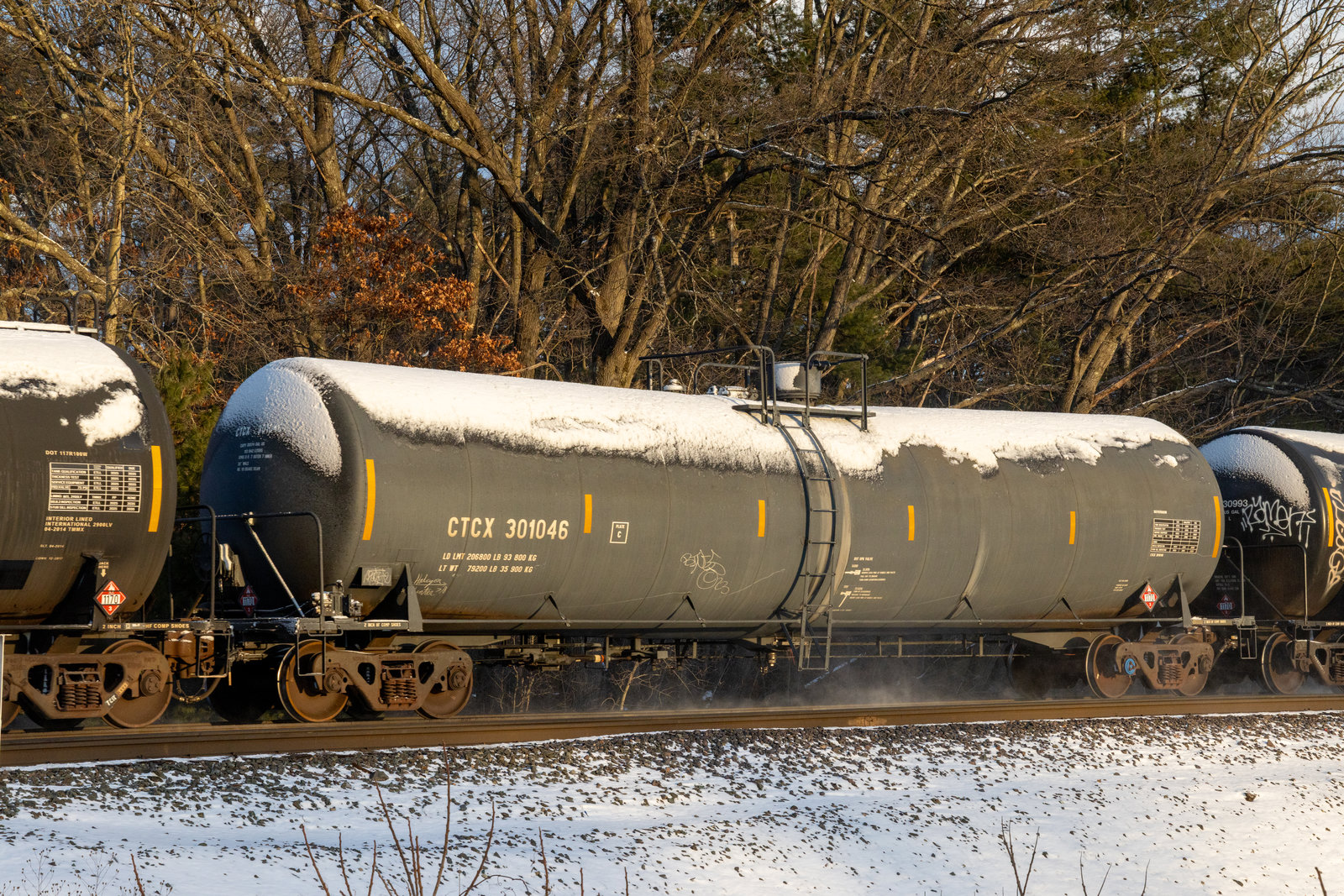 CTCX 301046