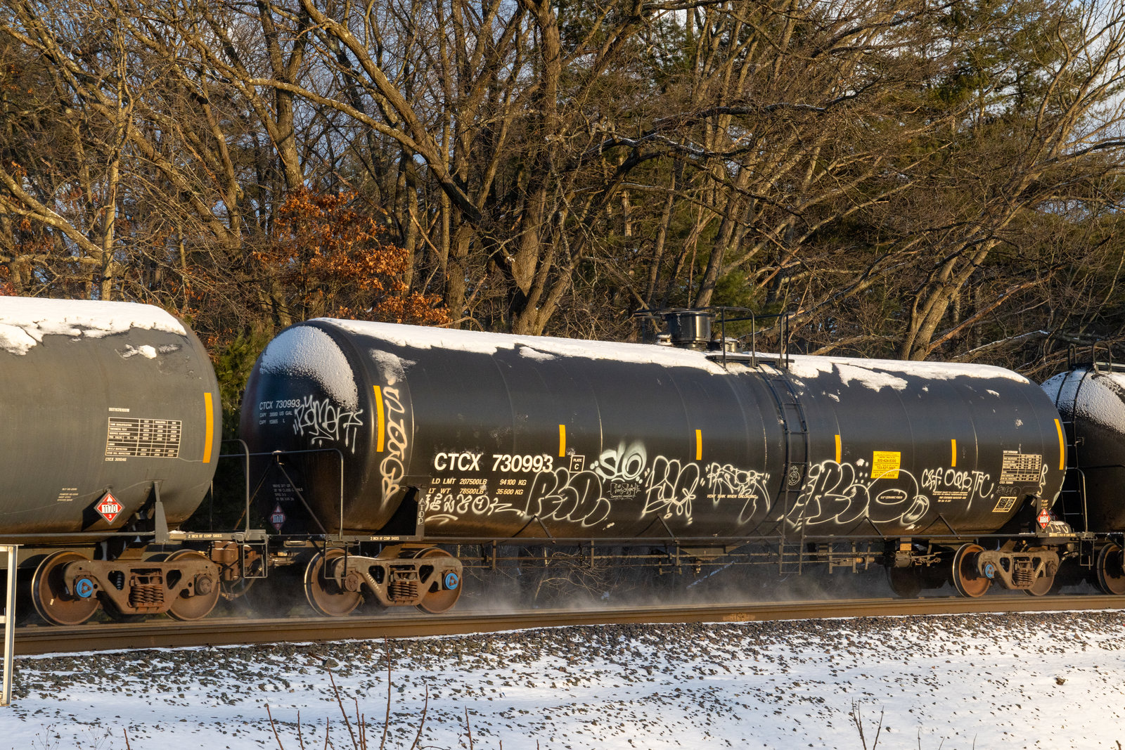 CTCX 730993