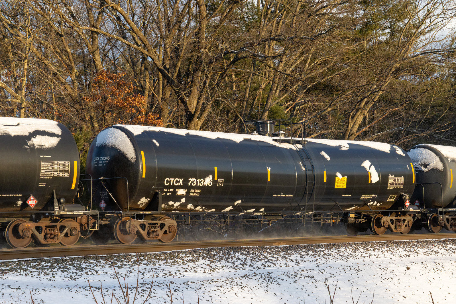 CTCX 731346