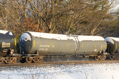 CTCX 731742