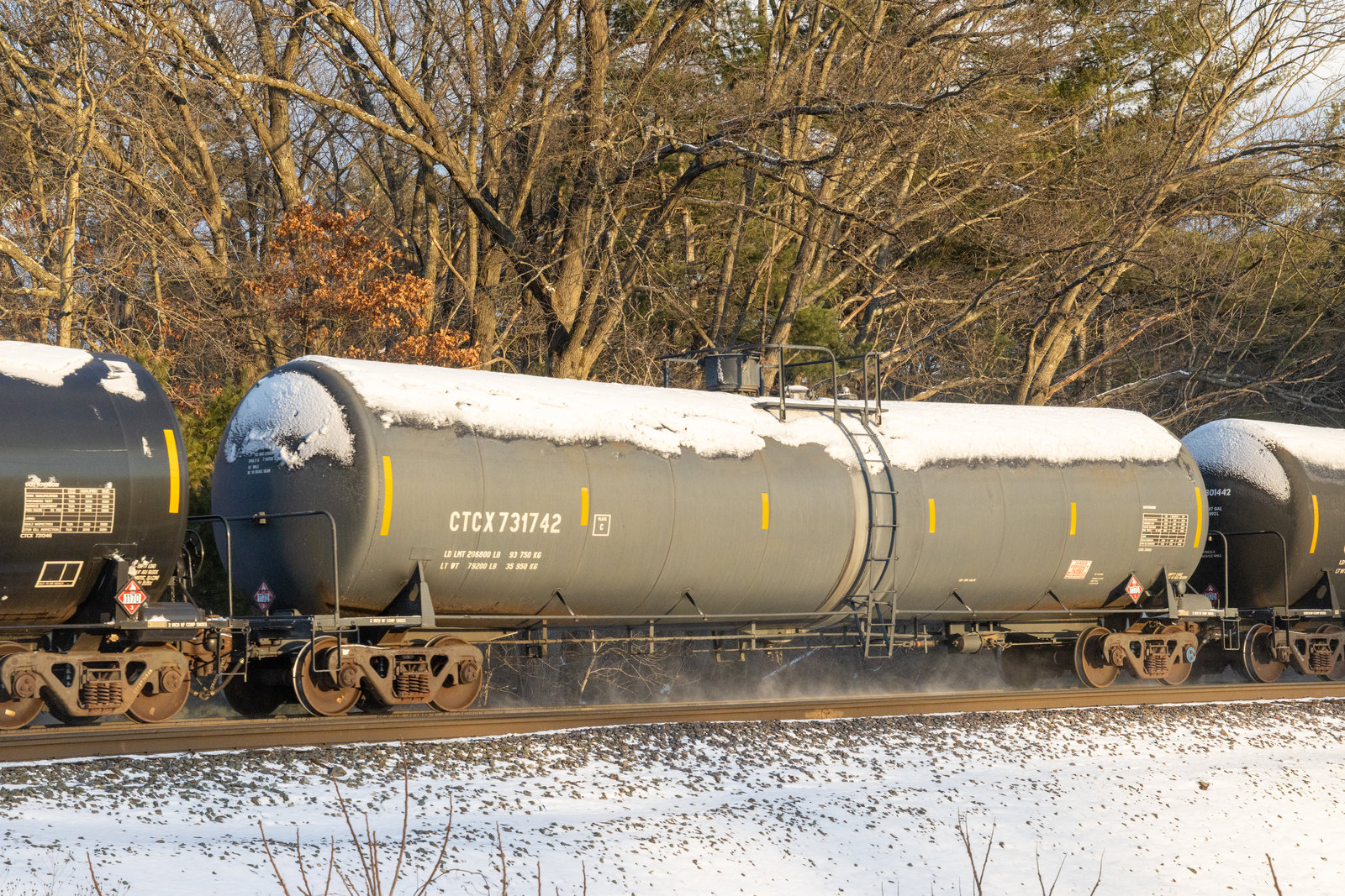CTCX 731742