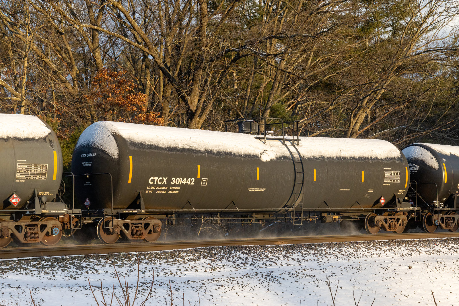 CTCX 301442