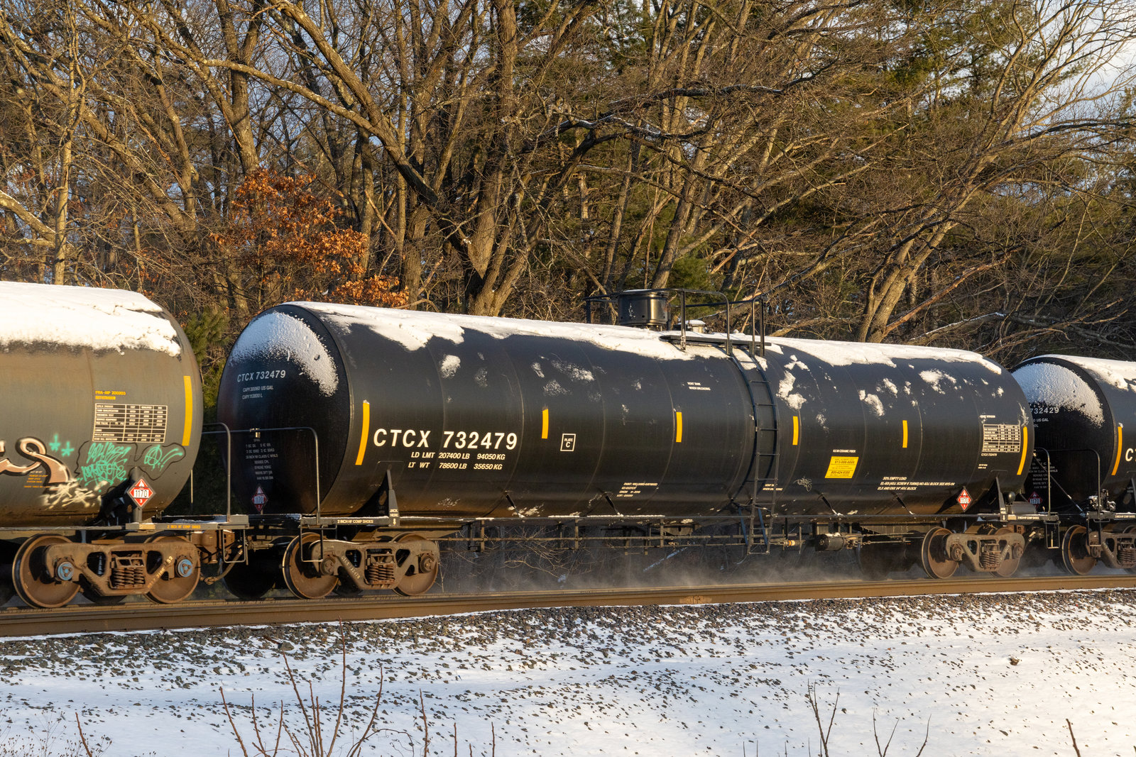 CTCX 732479