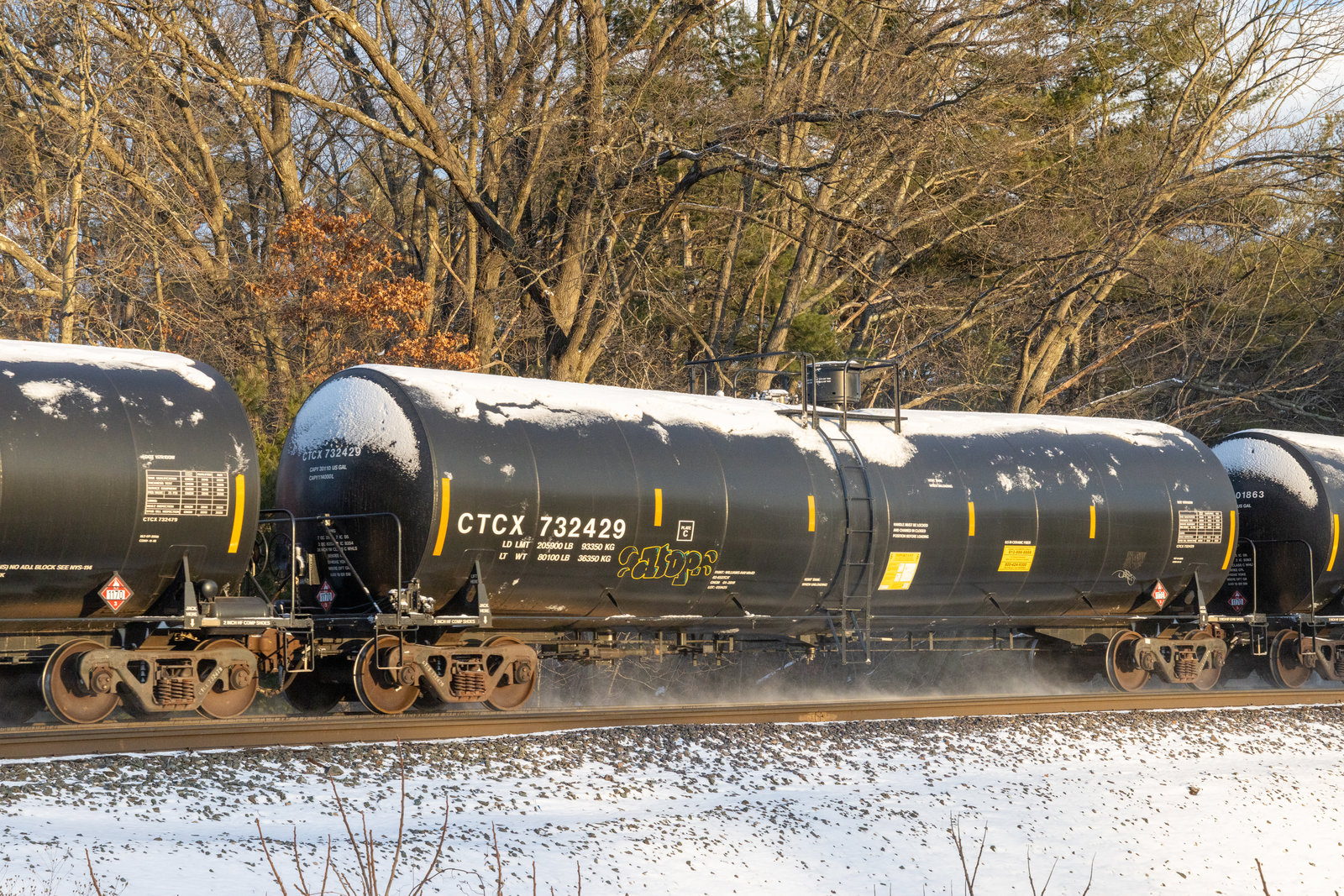 CTCX 732429