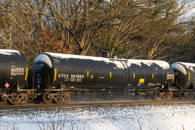 CTCX 301863