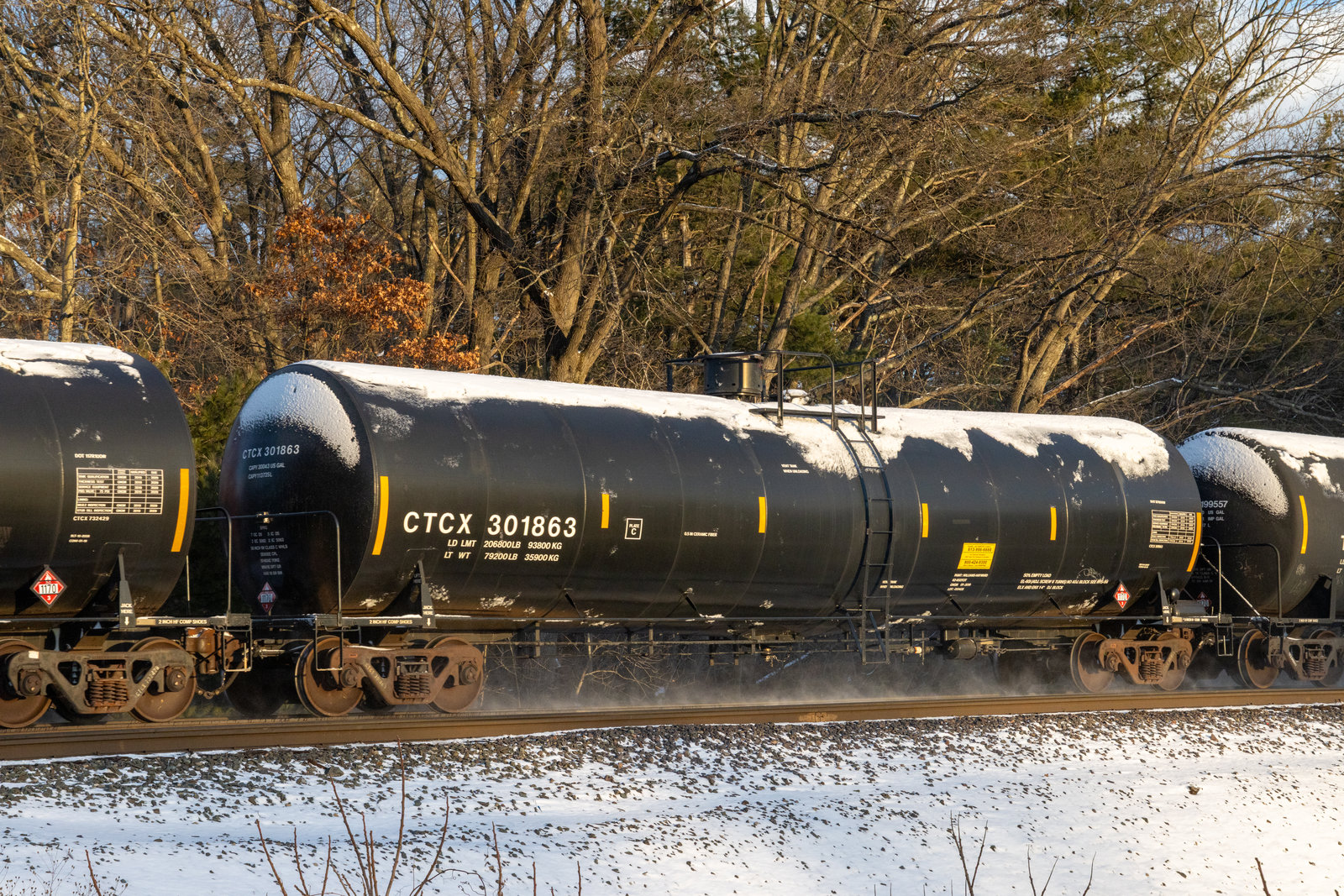 CTCX 301863