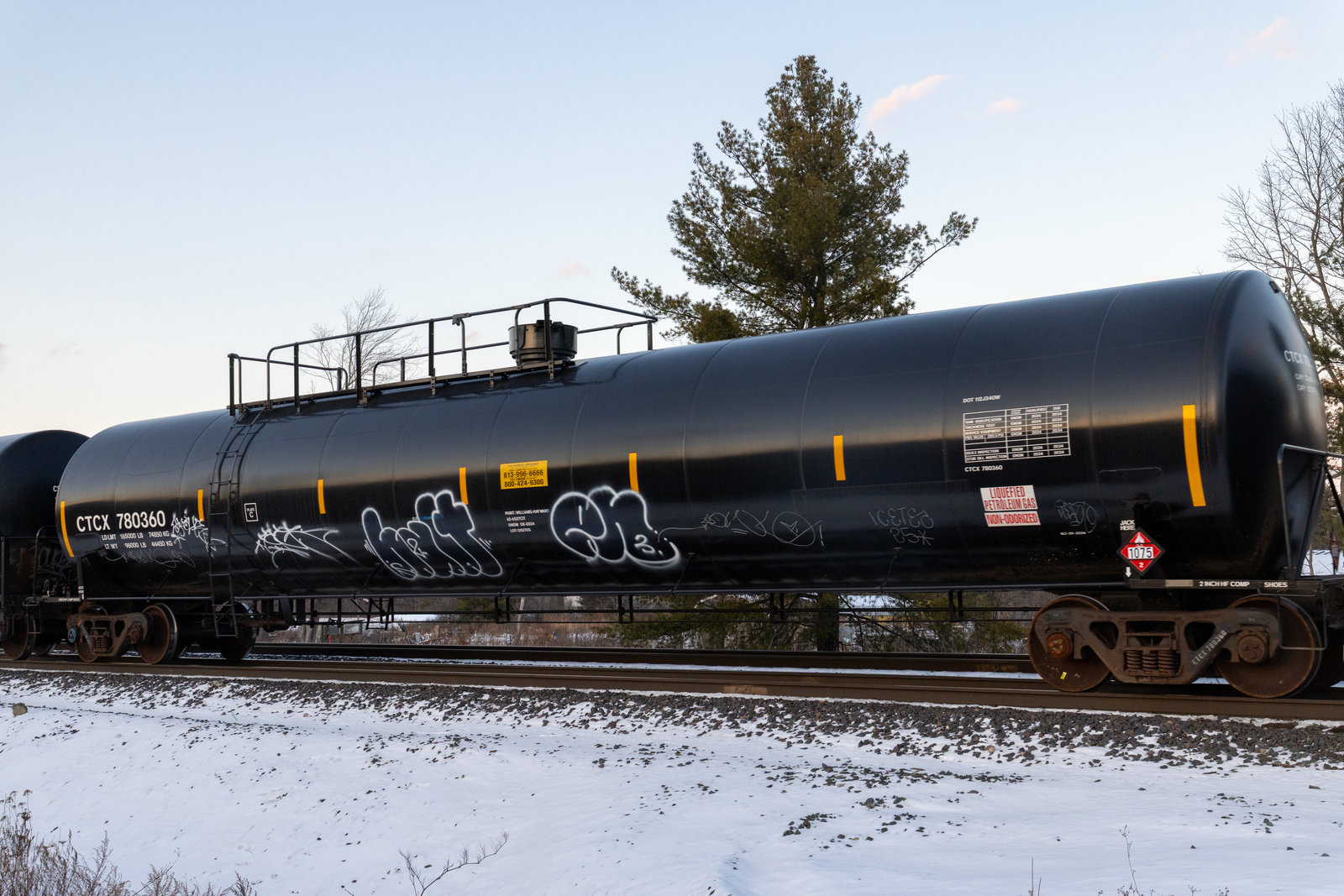 CTCX 780360