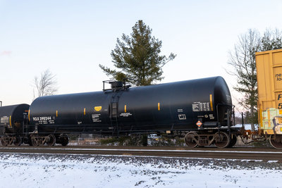 TCLX 290244