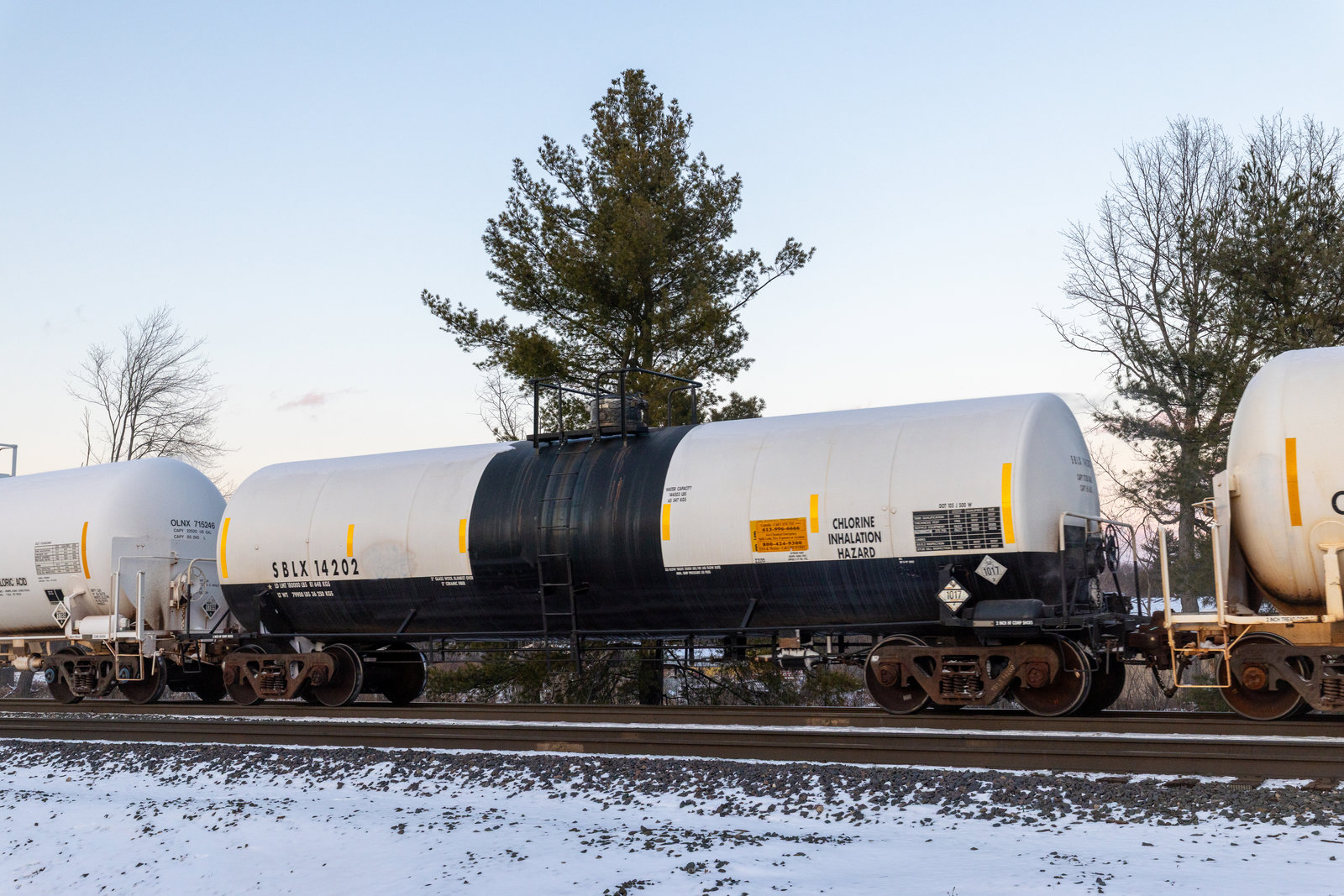 SBLX 14202