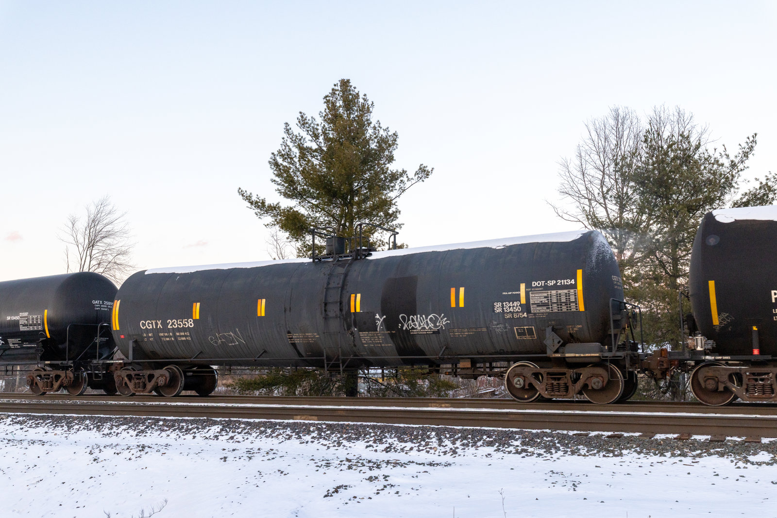 CGTX 23558