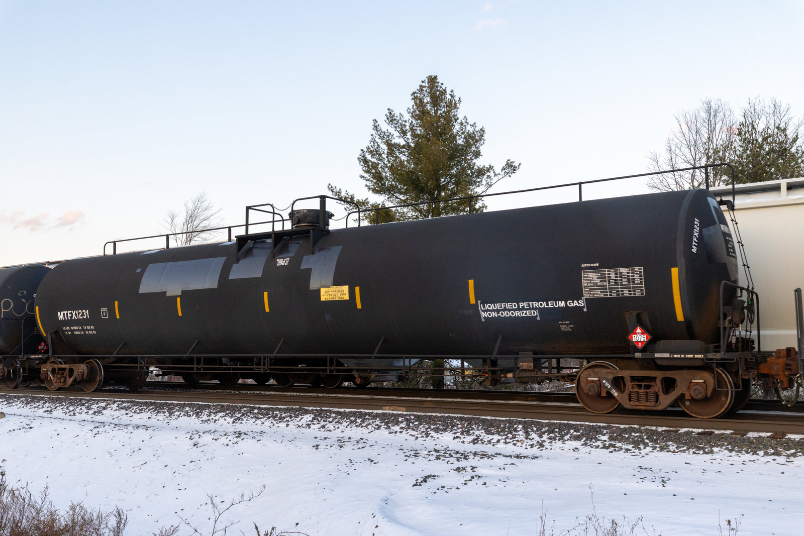 MTFX 1231
