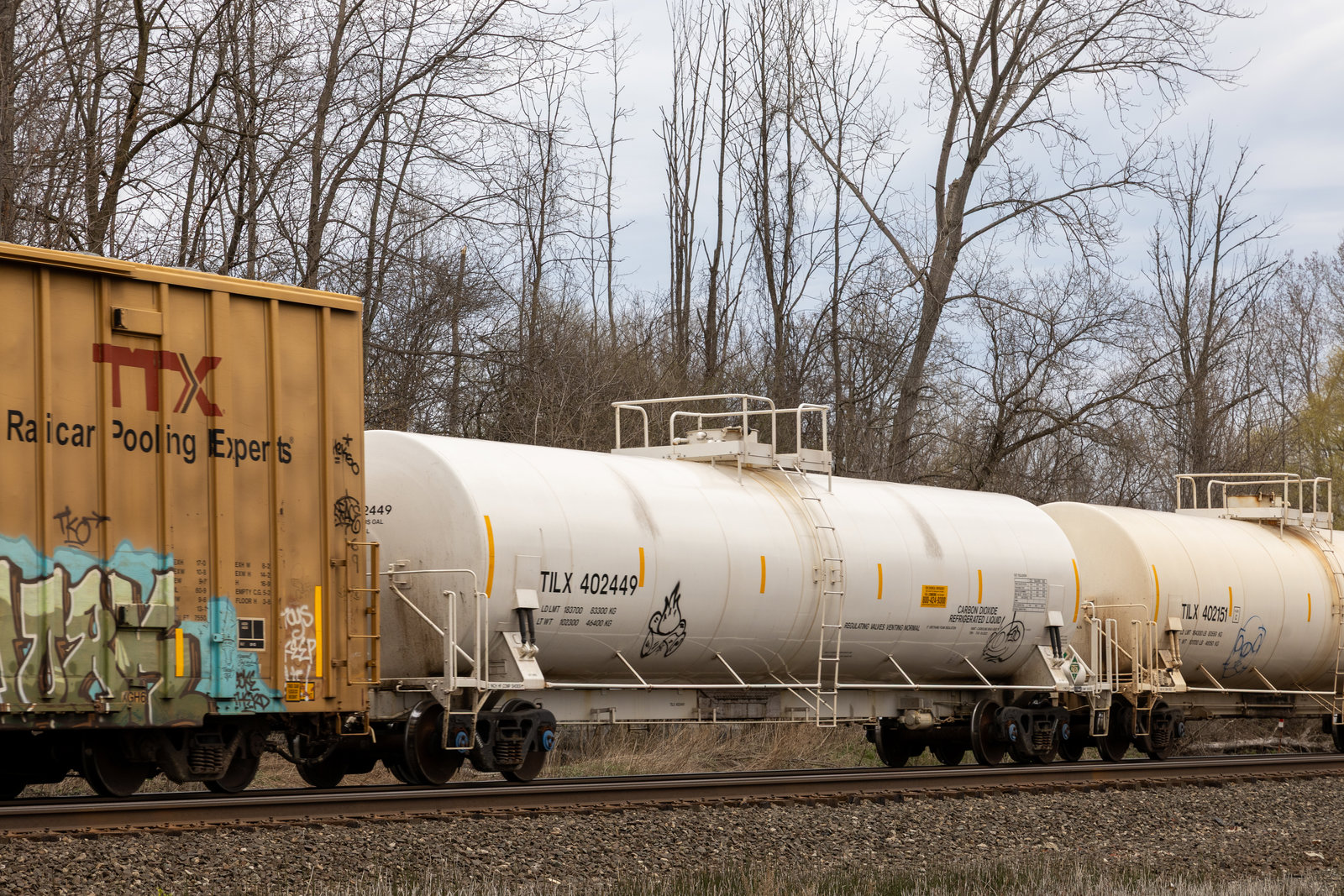 TILX 402449