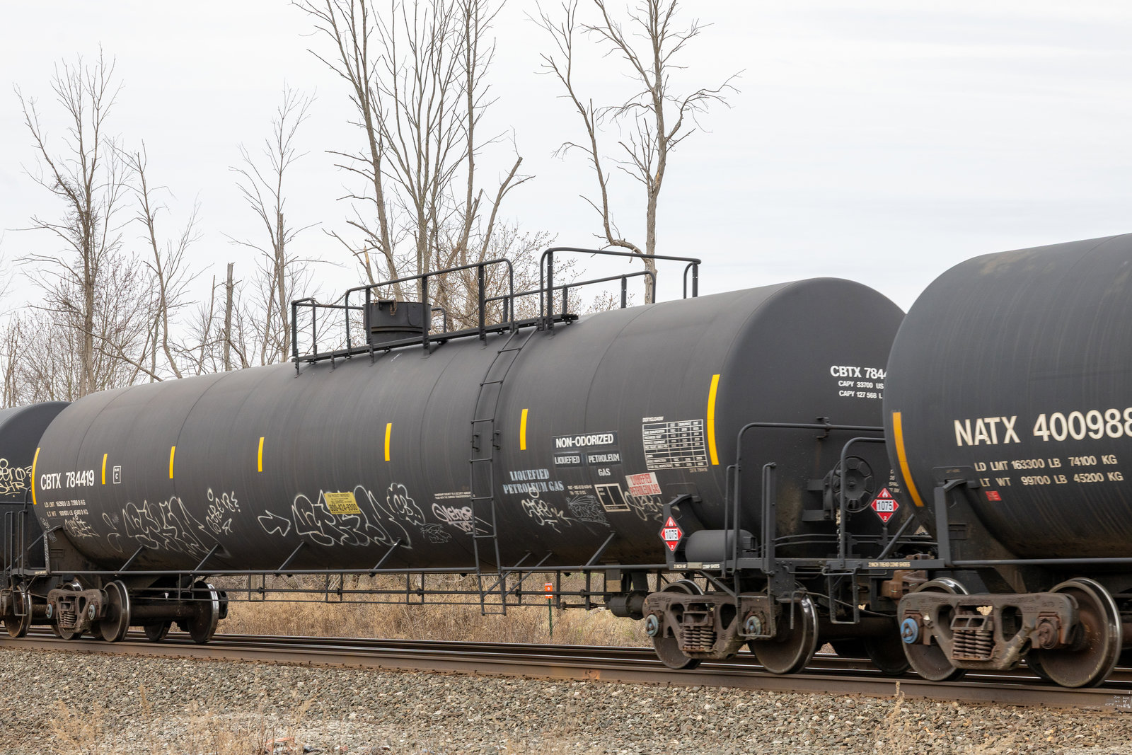 CBTX 784419