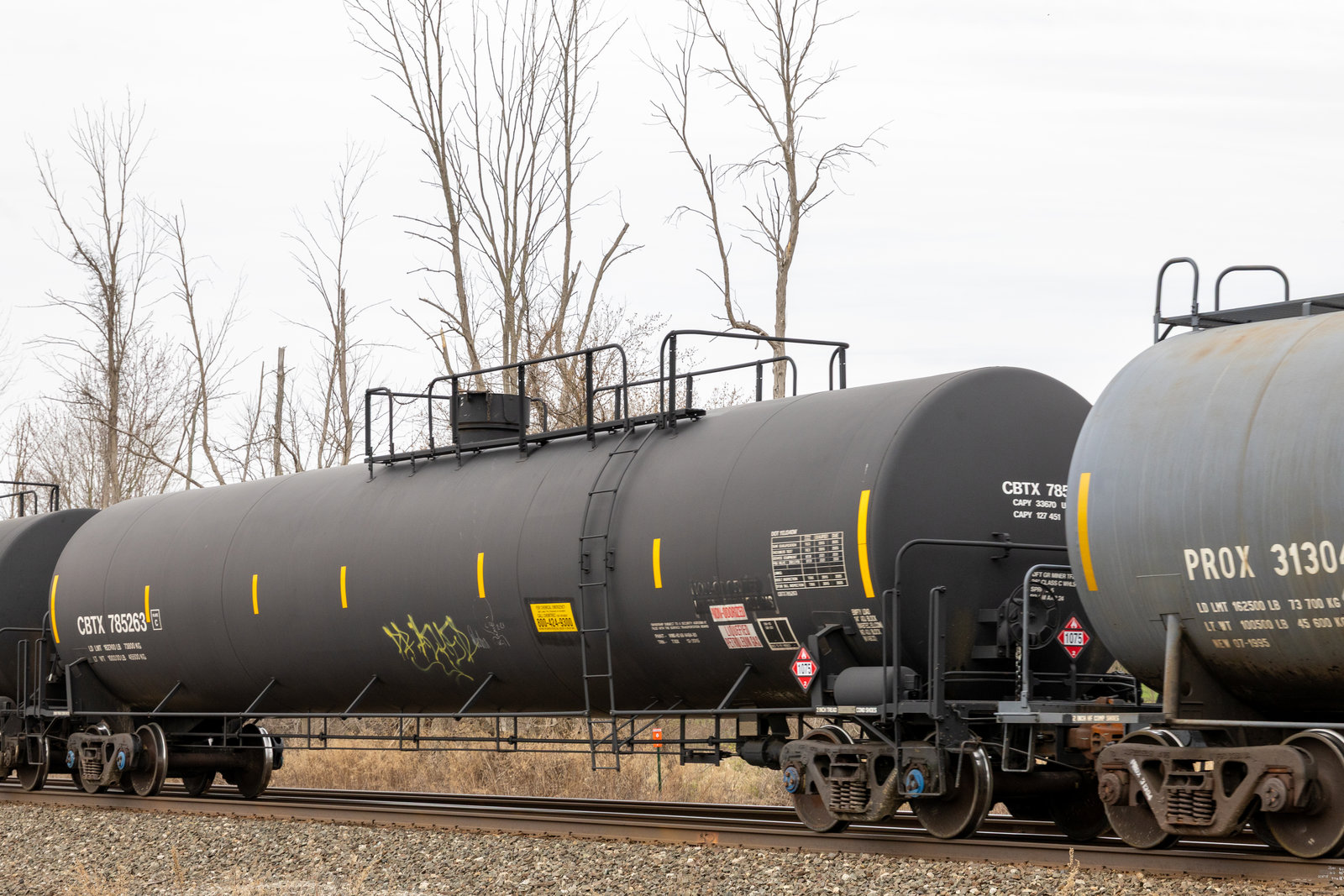 CBTX 785263
