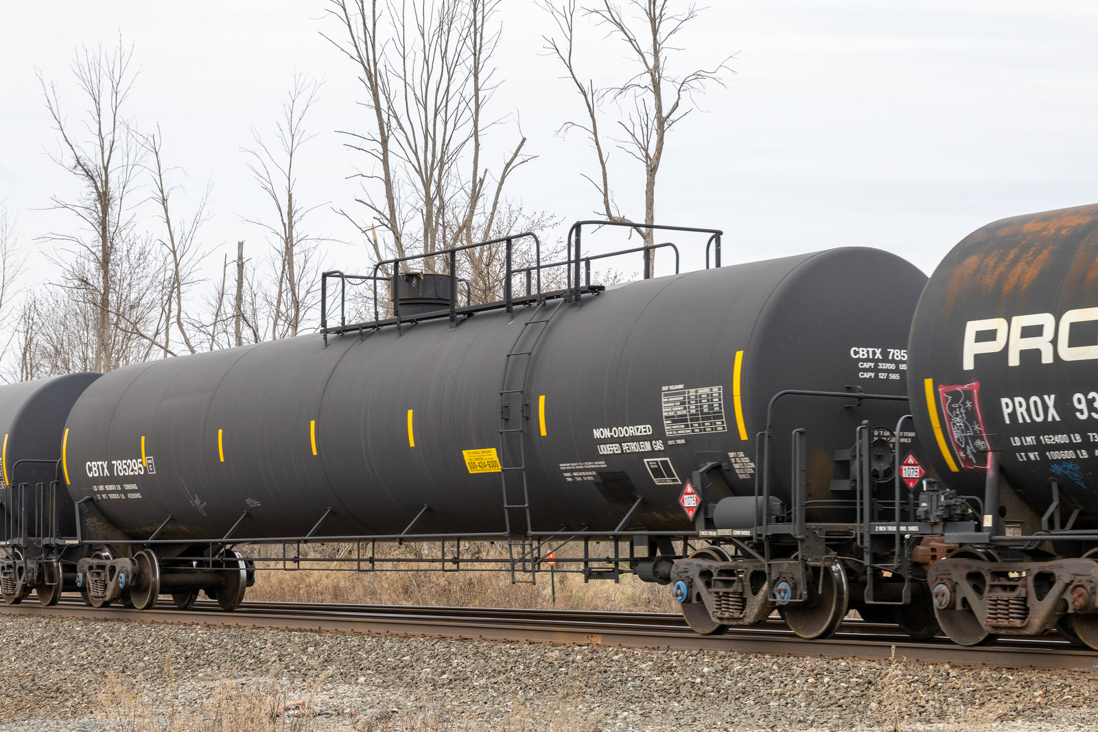 CBTX 785295
