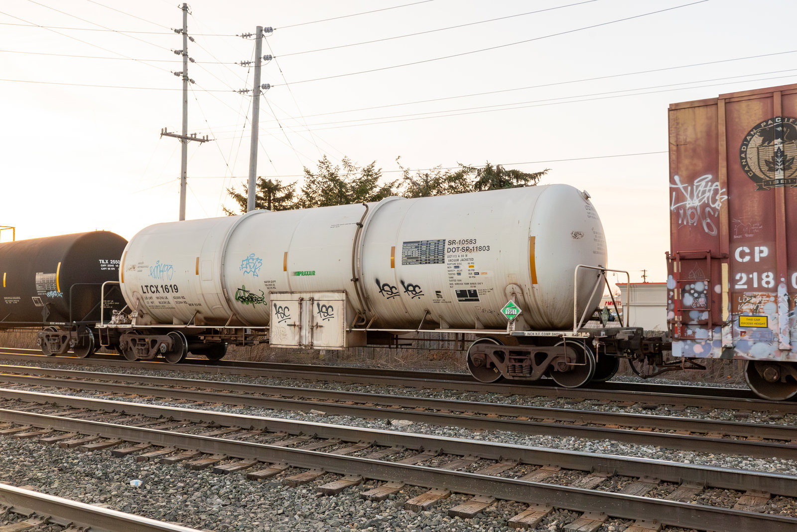 LTCX 1619