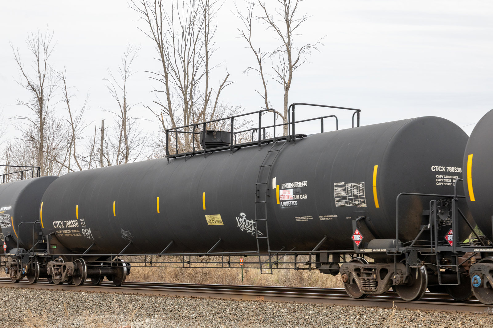CTCX 780338