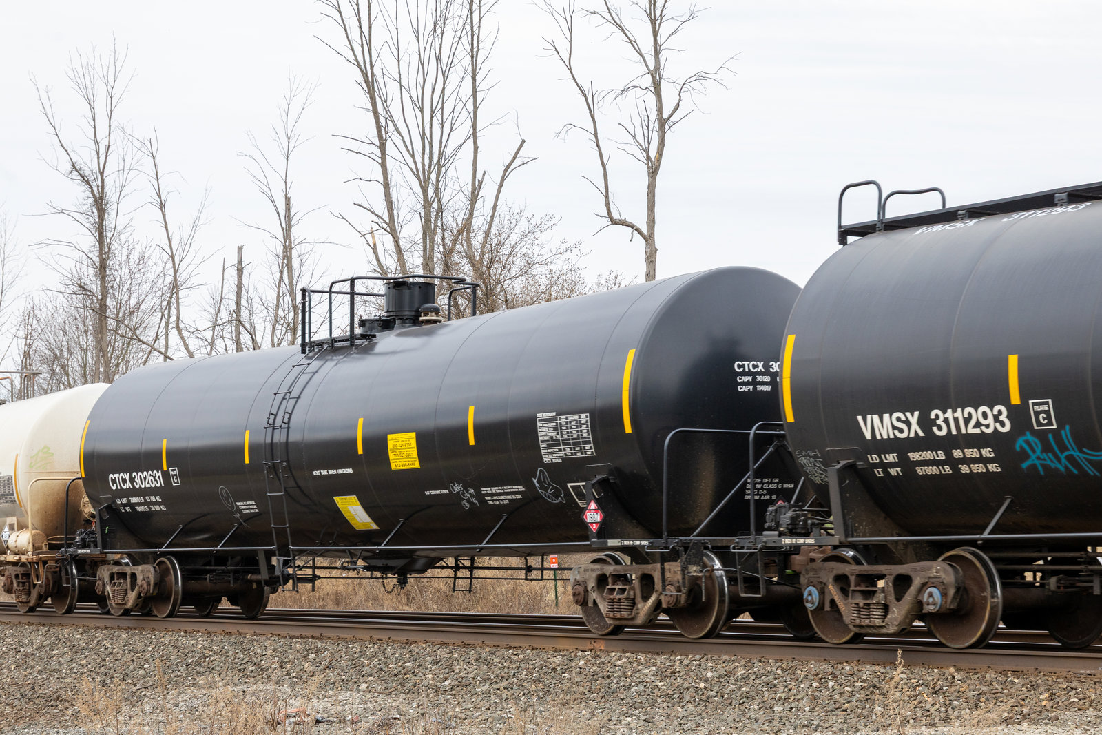 CTCX 302631