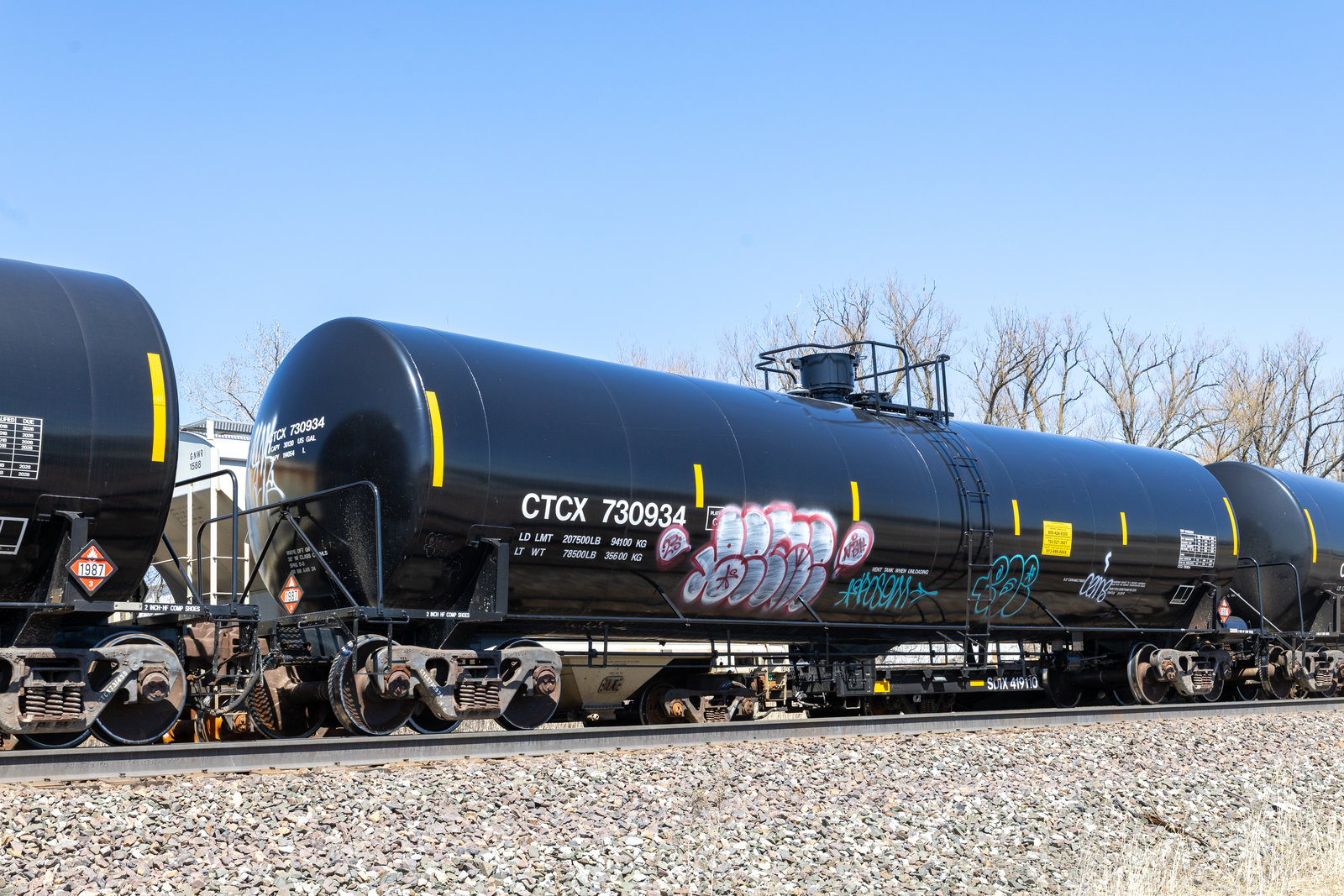 CTCX 730934