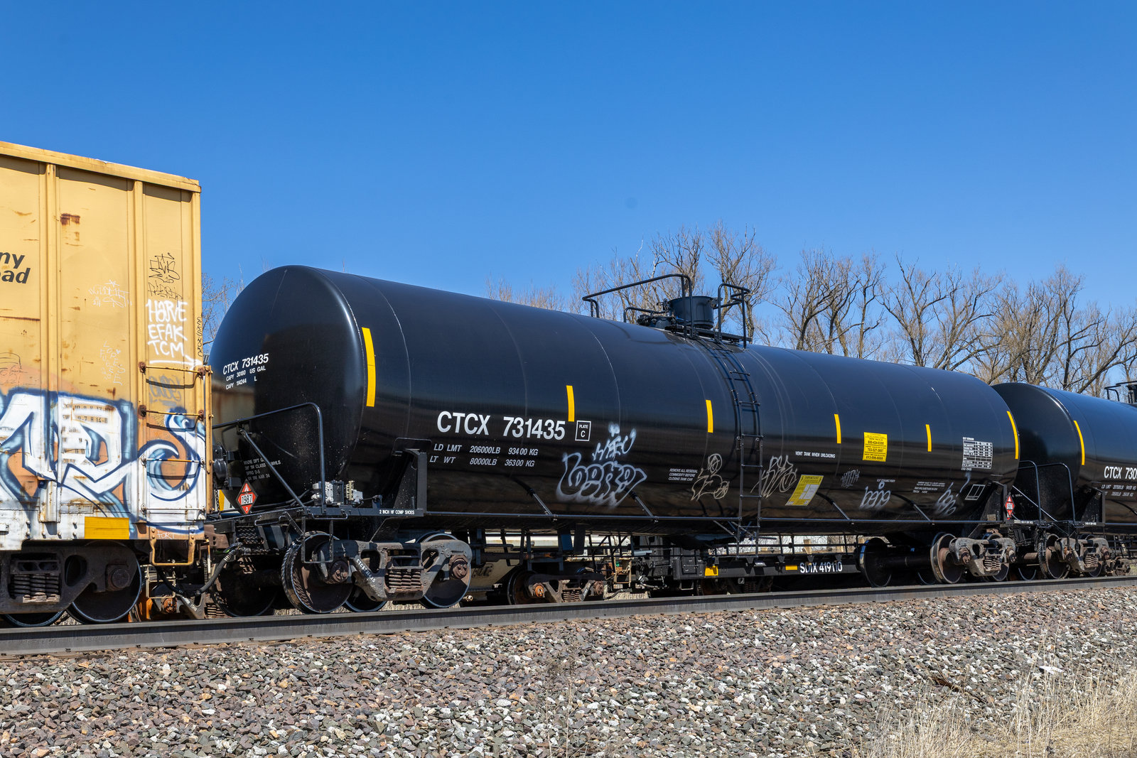 CTCX 731435