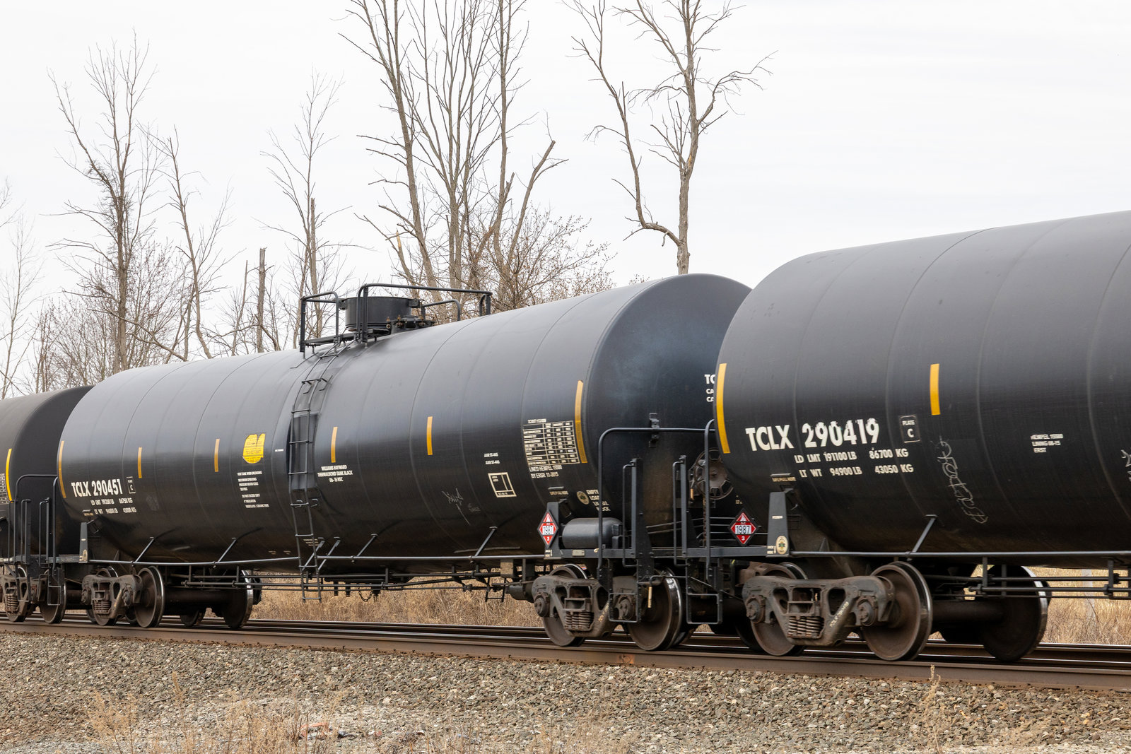 TCLX 290451