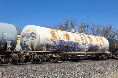 ASOX 299053