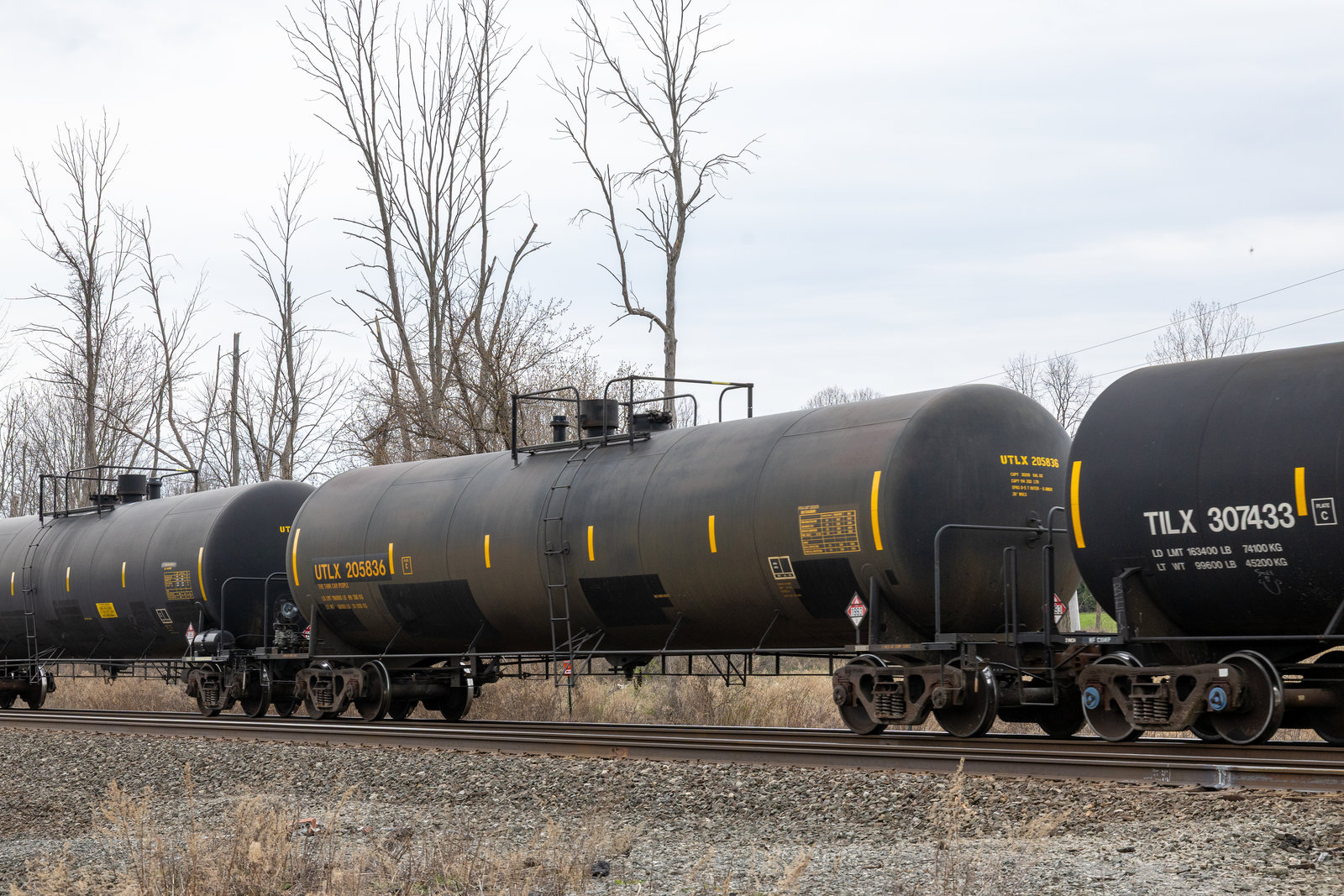 UTLX 205836