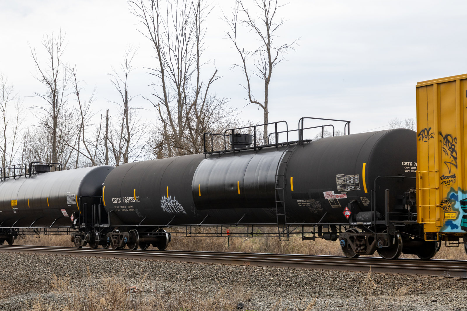 CBTX 785138