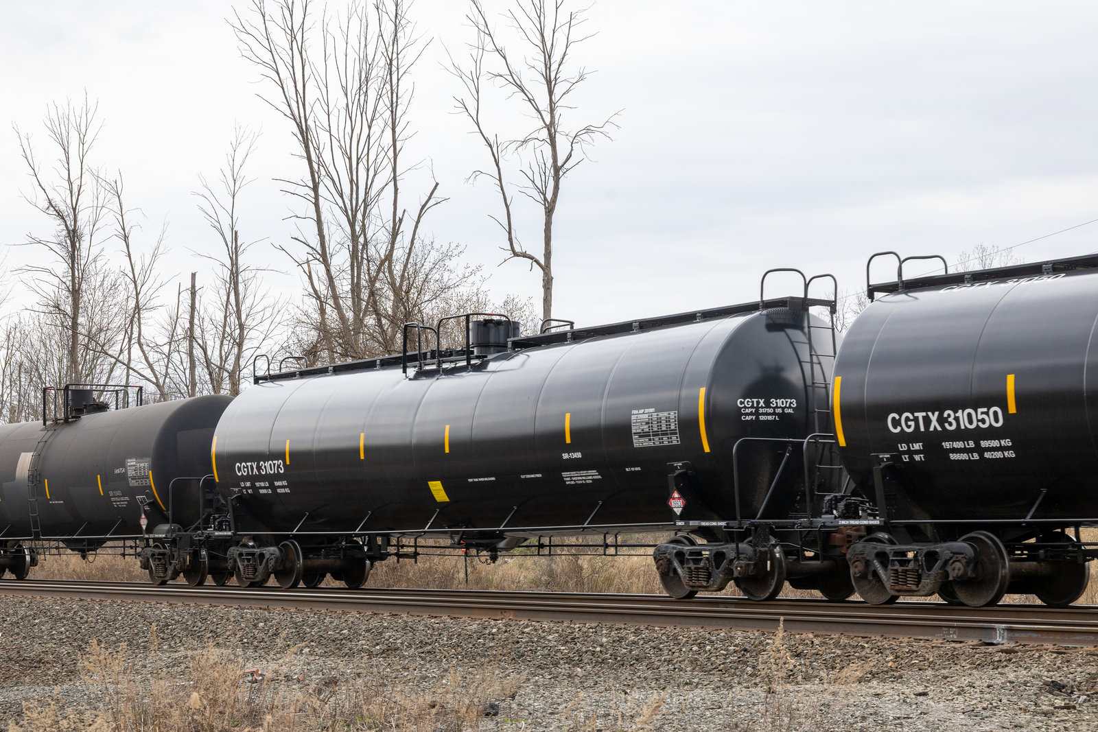 CGTX 31073