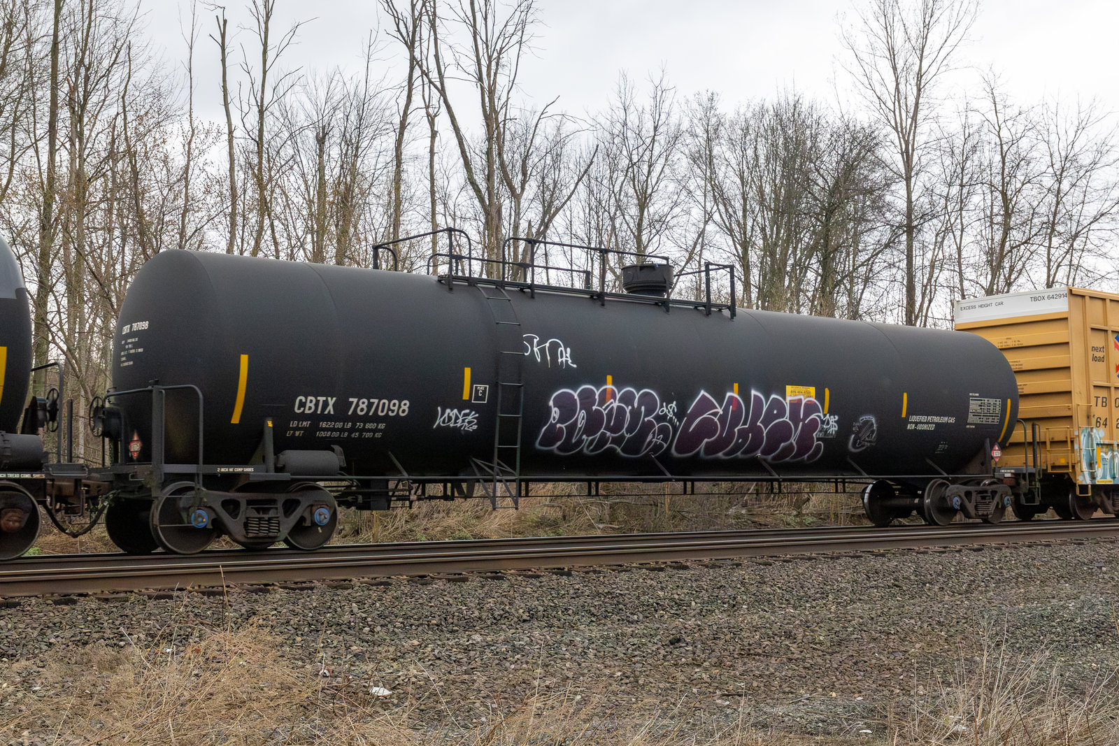 CBTX 787098