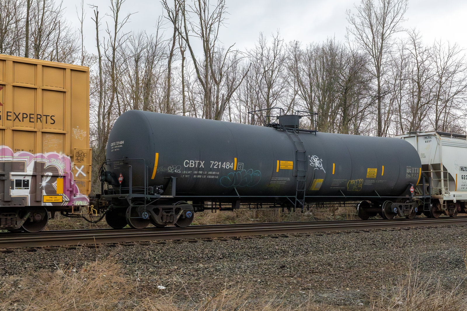 CBTX 721484