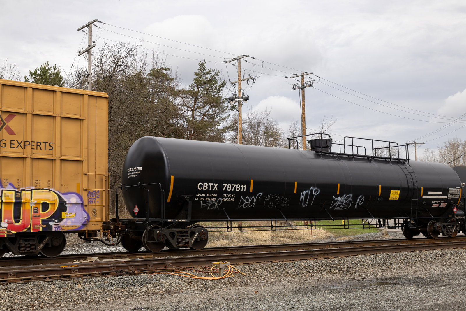 CBTX 787811